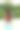 中年亚洲妇女在公园里做瑜伽，在树林间的沙滩上，概念瑜伽，冥想，放松图片下载