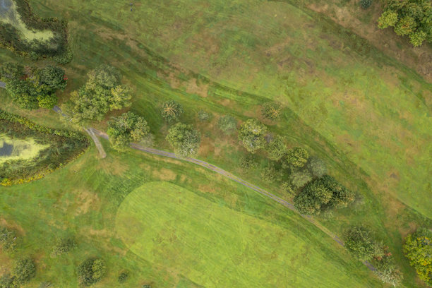 从无人机鸟瞰高尔夫球场图片下载