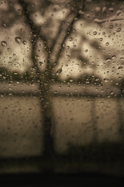 树和街道围栏。模糊印象主义街道景观照片的雨天。图片下载