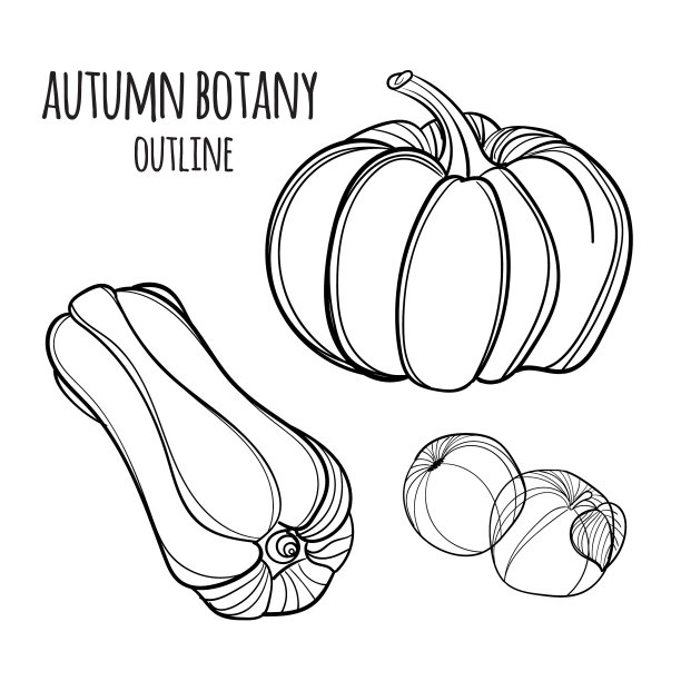 设置手绘秋天元素图片下载