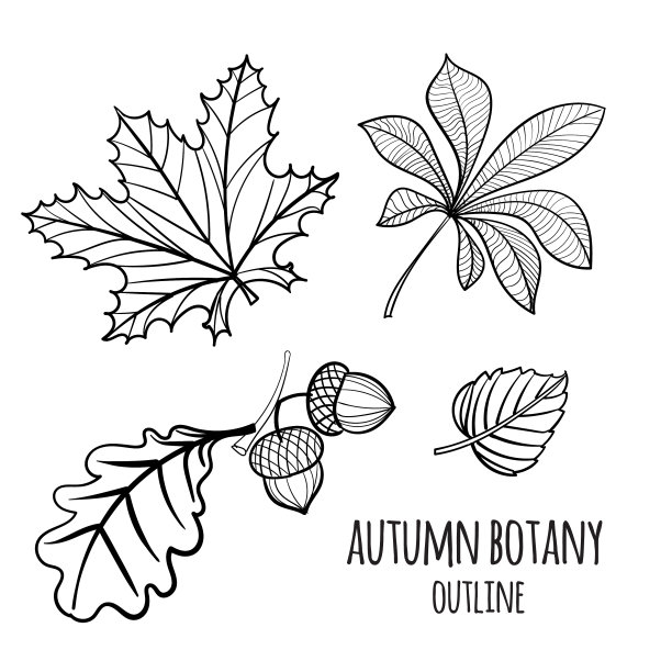 设置手绘秋天元素图片下载