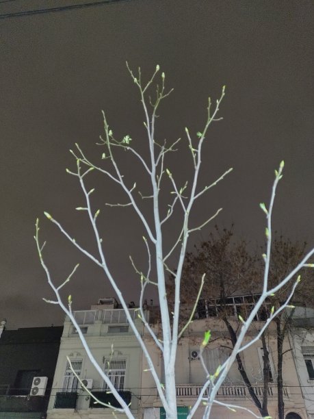 寂寞的夜晚图片下载