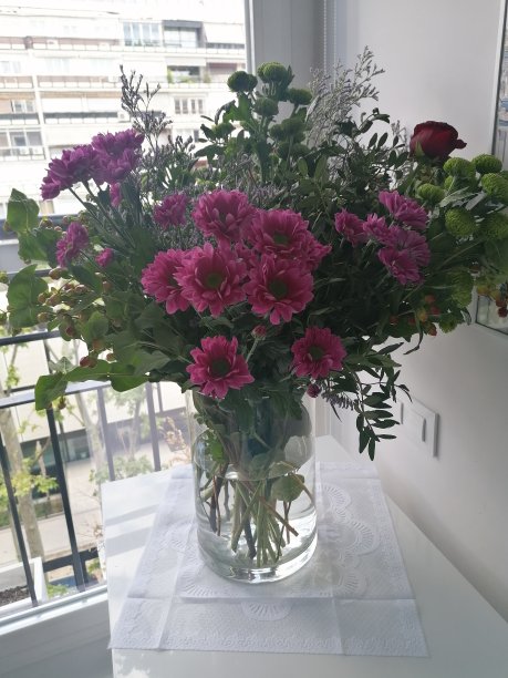 美丽的花朵图片下载