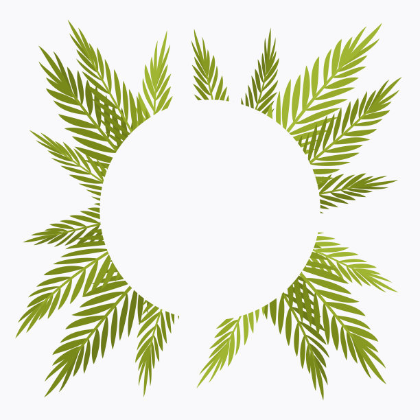 棕榈树圆形背景，热带主题卡片装饰copyspace图片下载
