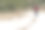 高级自行车手骑着肥胖的山地车图片下载