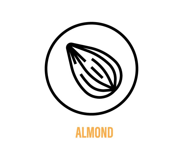 杏仁标志设计。生态食品说明图片下载