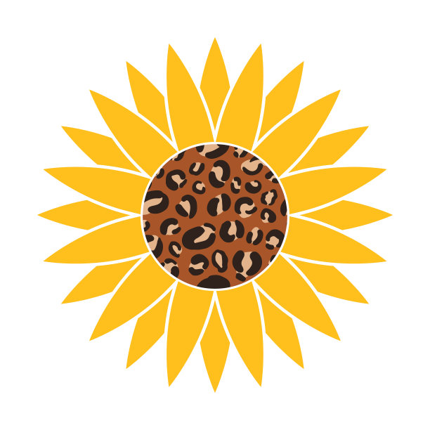 秋葵豹纹制成。可爱的秋天的装饰品。矢量模板，用于感恩节，丰收节等图片下载