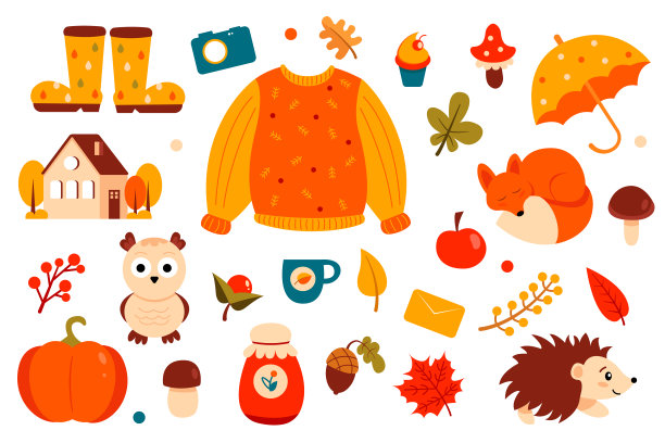 秋季元素集:毛衣，狐狸，刺猬，树叶，房子，猫头鹰，靴子，伞，蘑菇和更多。完美的包装设计，贴纸和装饰。矢量插图。图片下载