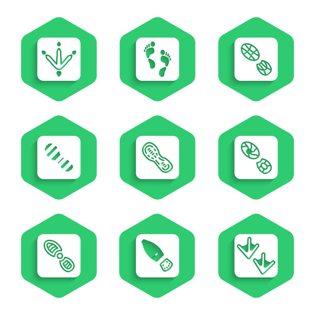 设置人类脚印鞋，鹅爪，鸡的图标。向量图片下载