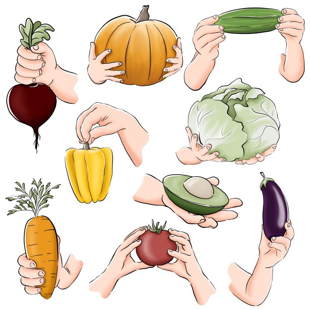 收集新鲜蔬菜图片下载