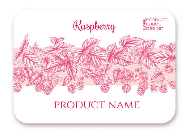 覆盆子上的成熟浆果以树枝为模板图片下载