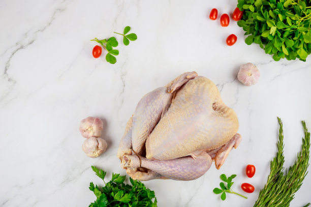 白色背景上有配料的生火鸡。图片下载