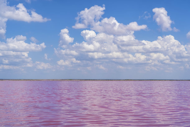 粉红色的盐湖和深蓝色的天空，极简主义的自然景观。粉红色湖泊，因含有能产生类胡萝卜素的藻类杜氏藻而呈现出粉红色图片下载