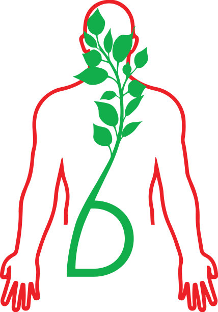 图标是人体轮廓图片下载