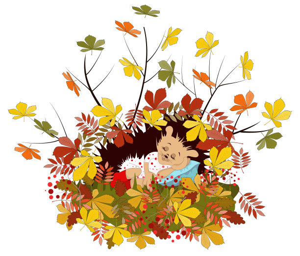 想象一下沉睡的刺猬系列图片下载