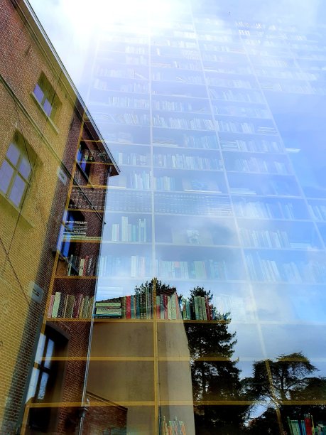 图书馆图片下载