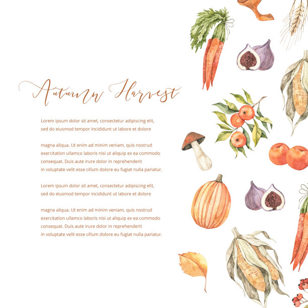 水彩秋天框架蘑菇，秋天的叶子，玉米，小麦，苹果和浆果。秋天元素的构图。完美的邀请，贺卡，海报，印刷，社交媒体图片下载