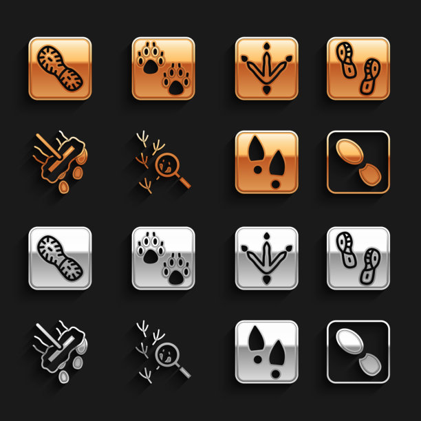 鸟的脚印，人的脚印，鞋的拖把图片下载