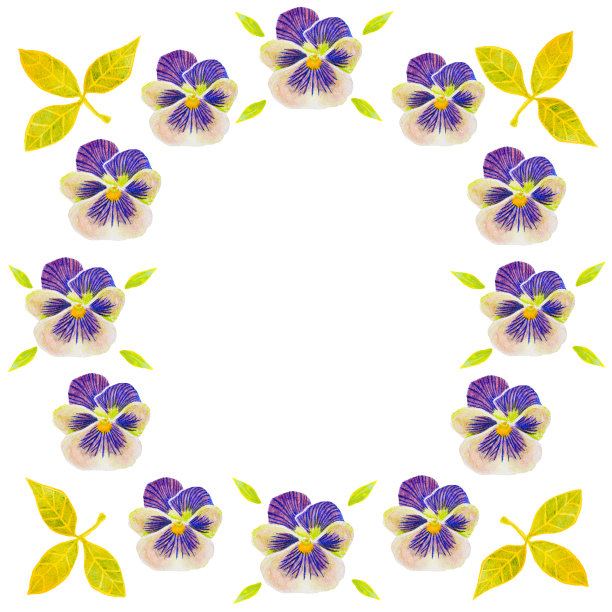 手写的水彩贺卡可爱的三色堇花图片下载