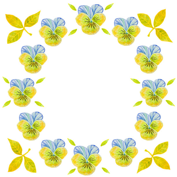 手写的水彩贺卡可爱的三色堇花图片下载