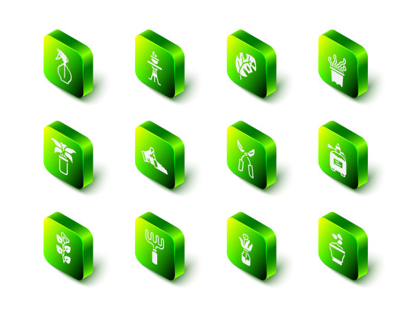 盆栽植物放在桌上的热带叶子异国情调图片下载