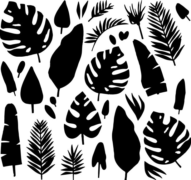 香蕉轮廓图片下载