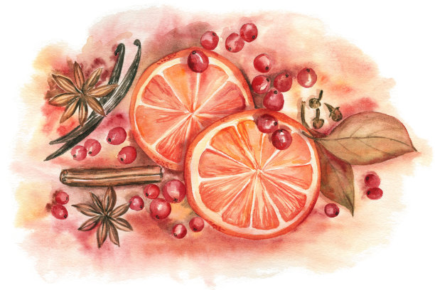 秋天和圣诞节水彩画与橘子，蔓越莓和香料。图片下载