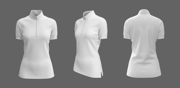 空白高领衬衫模型与半拉链在前面，侧面和后面的观点图片下载
