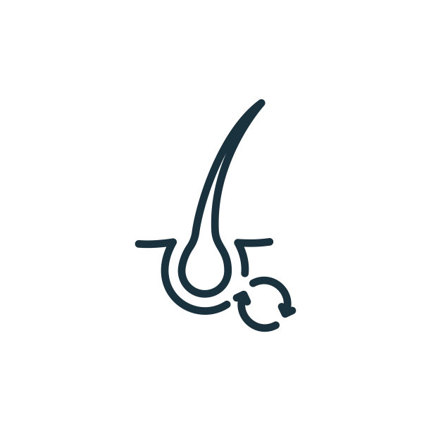 头发替代概念线图标毛囊和图片下载