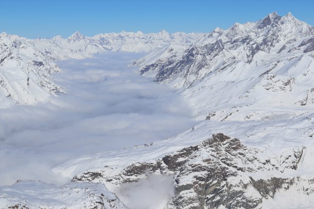 策马特掩护下图片下载