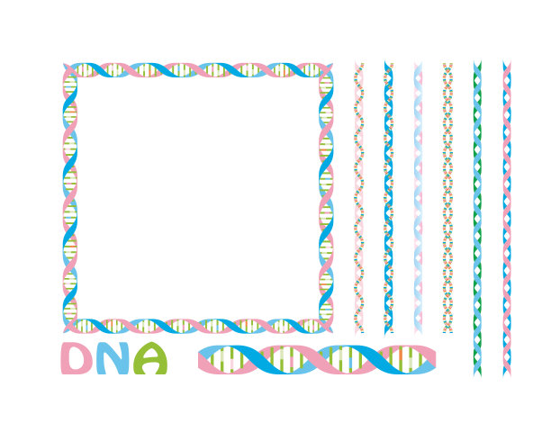 背景材料DNA基因设计插图，一组直线和框架。向量图片下载