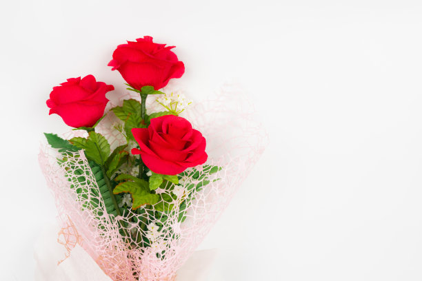 红色玫瑰花束与白色背景框架的左侧图片下载