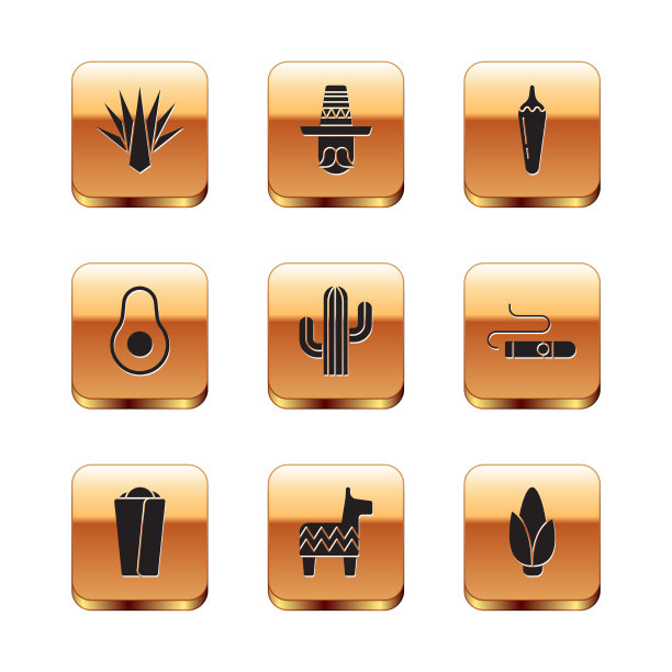 集龙舌兰、玉米煎饼、皮纳塔、仙人掌、鳄梨果图片下载