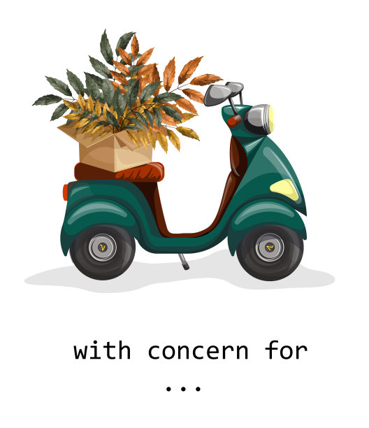 想象一个盒子里有一束树叶或植物图片下载