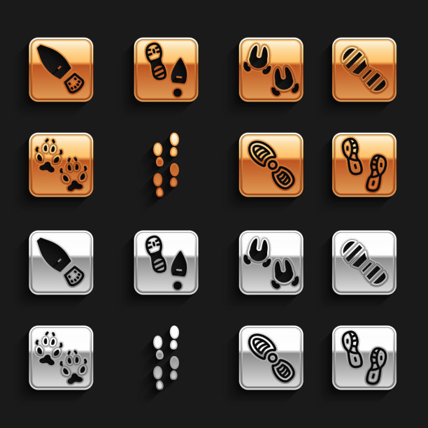 人的脚印鞋狐狸爪子野猪图片下载