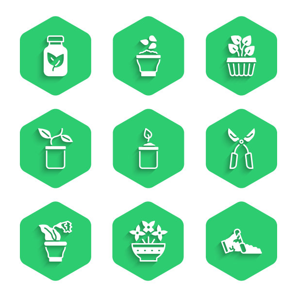 将花芽插在瓶中，瓶碎花盆中图片下载