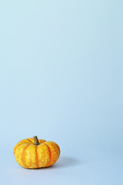 浅蓝色背景上的南瓜图片下载