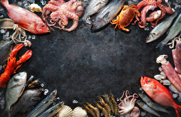 各种新鲜的鱼和海鲜图片下载