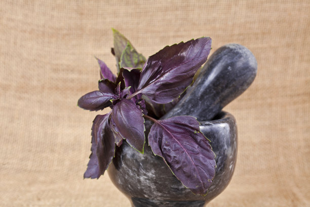 紫苏叶放在石臼里图片下载