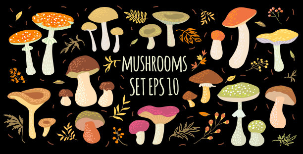 一套各种颜色的蘑菇。矢量插图，海报，明信片。图片下载