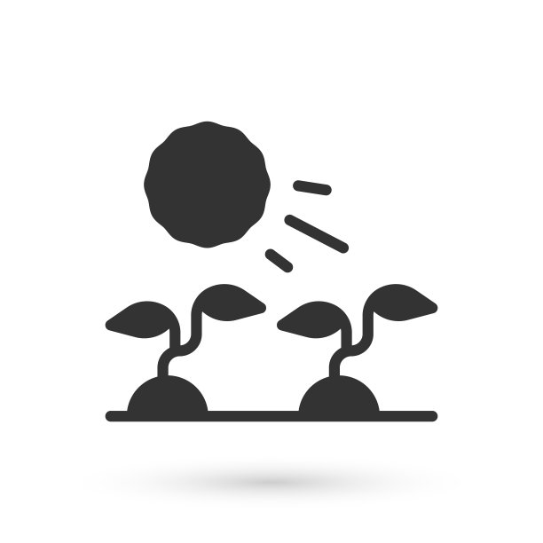 灰色植物芽生长在太阳图标孤立在白色的背景。幼苗的概念。向量图片下载