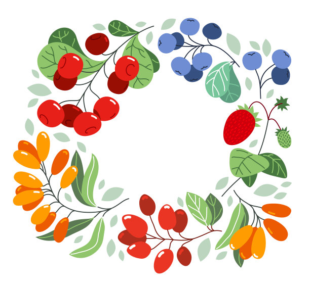 野生浆果新鲜成熟美味健康的食物载体扁平风格圆形框架孤立过白色，圆形边框美味的植物饮食，有机食品。图片下载