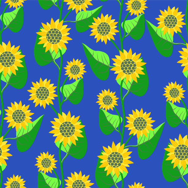 矢量向日葵无缝模式。图片下载