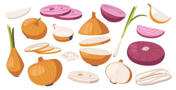集棕色和紫色蔬菜洋葱自然图片下载