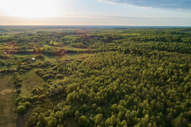 无人机的航拍照片。森林绿化景观图片下载