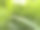 清晰的水滴。图片下载