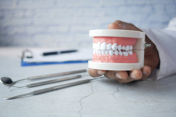 医生手持塑料牙齿模型放在桌上图片下载