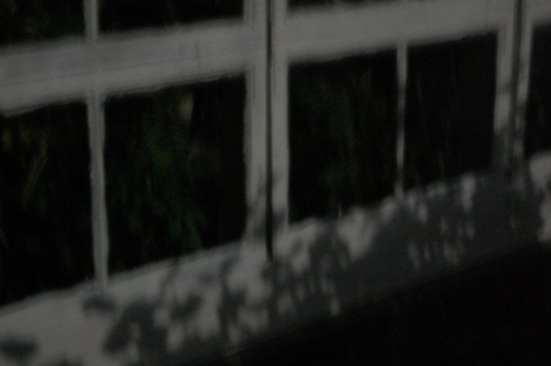 一部分在月光下的温室-梦幻般的。图片下载