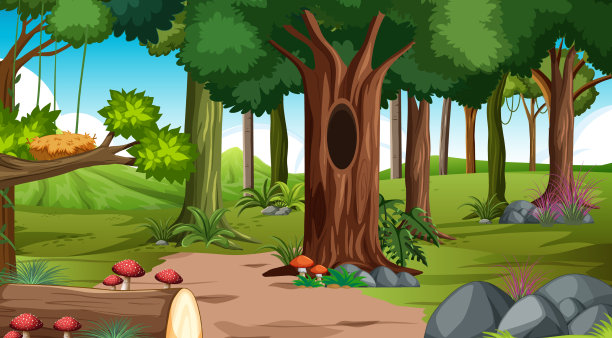 森林在白天的场景与各种森林植物图片下载