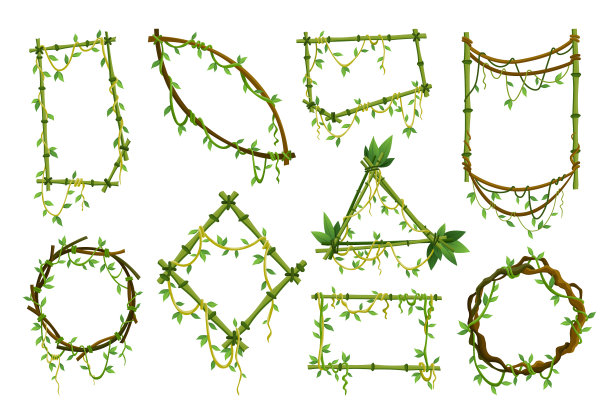 设置热带藤本植物框架丛林植物图片下载